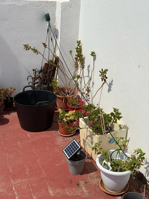 Ae63c302917ee406aa46c0bca79bcf0deg.jpg